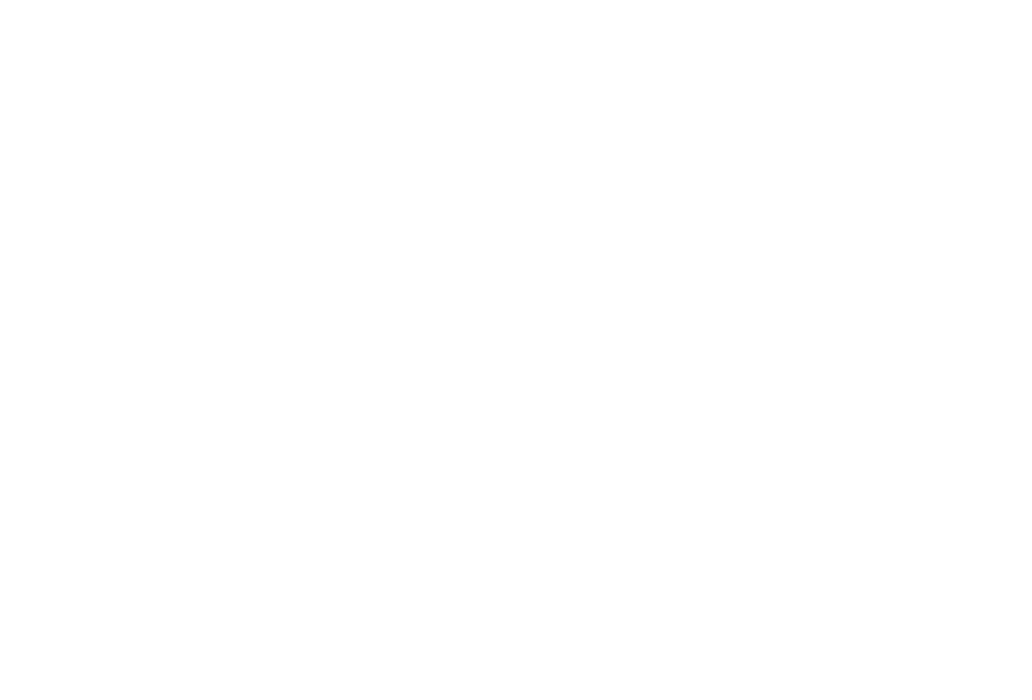 B.W.VideoEvent